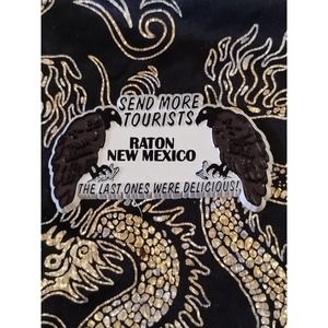 Raton New Mexico vintage refrigerator magnet